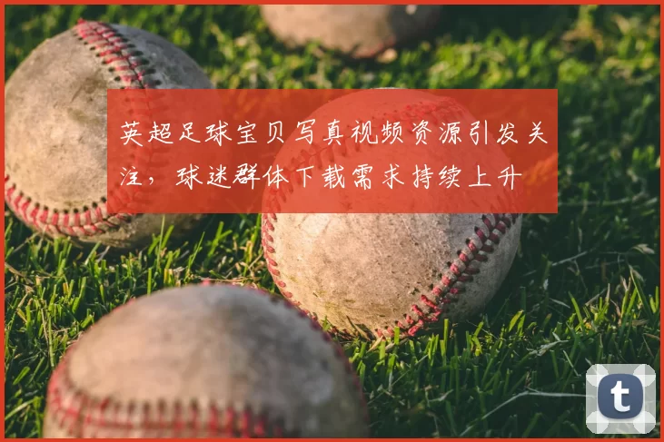 英超足球宝贝写真视频资源引发关注,球迷群体下载需求持续上升