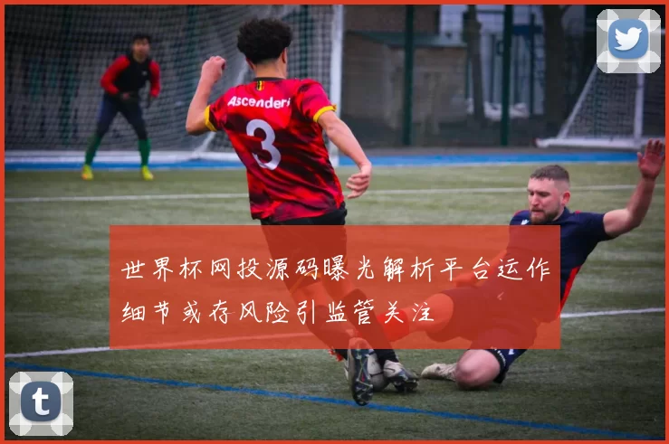 世界杯网投源码曝光解析平台运作细节或存风险引监管关注