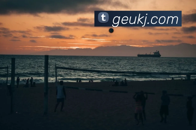 App Interface Preview