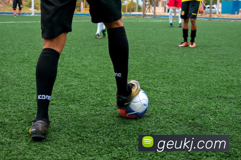 多多app下载(中国)有限公司 - 官网APP 封面图